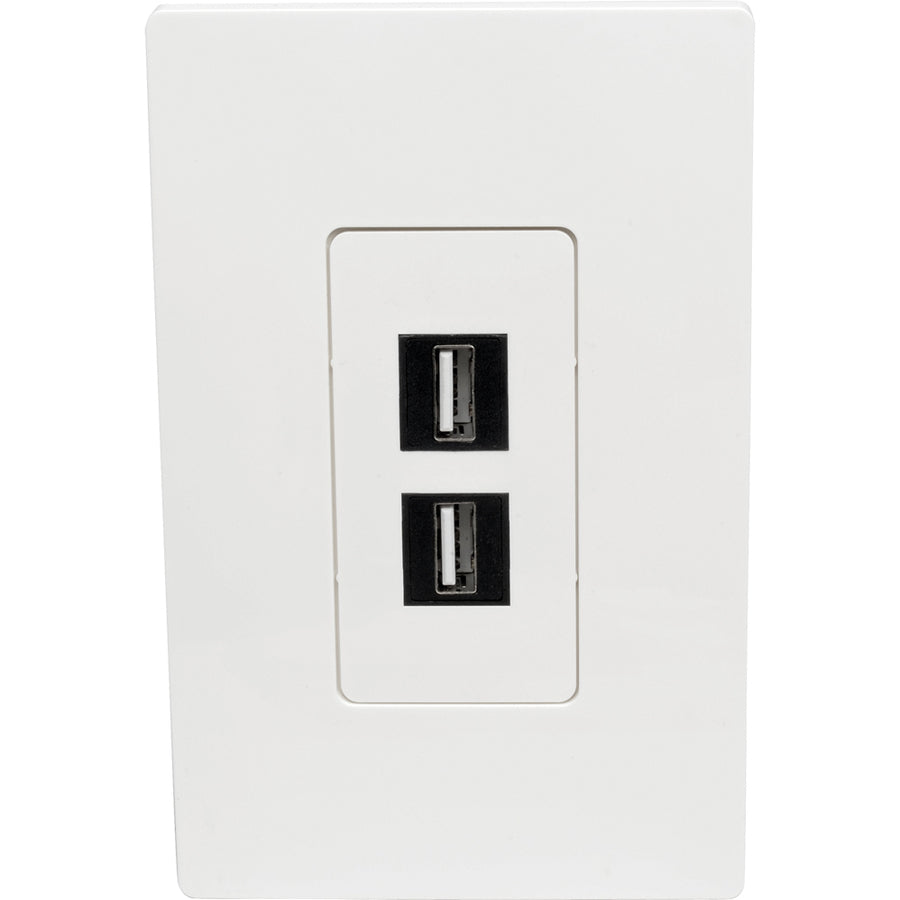 Tripp Lite by Eaton Single-Gang 2-Port Wall Plate Keystone Cat5/6 USB HDMI Dport RCA — N080-102