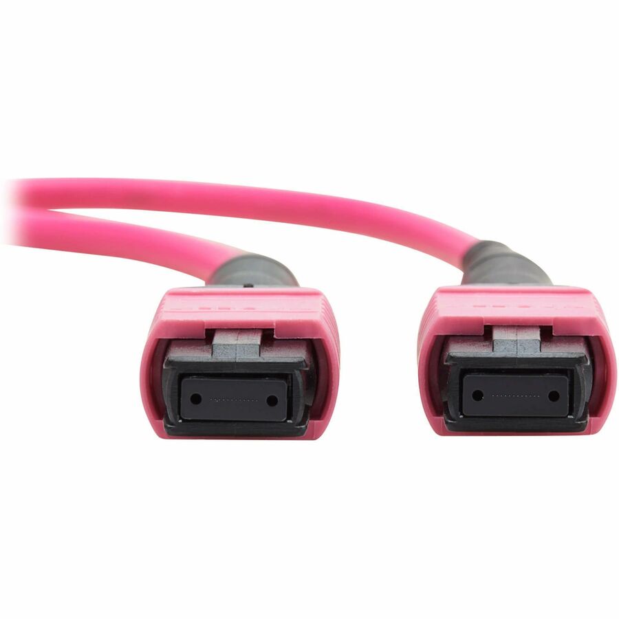 Eaton Tripp Lite Series 100G Multimode 50/125 OM4 Fiber Optic Cable (12F MTP/MPO-PC F/F), OFNP, Magenta, 3 m (9.8 ft.), TAA — N845B-03M-12MTA