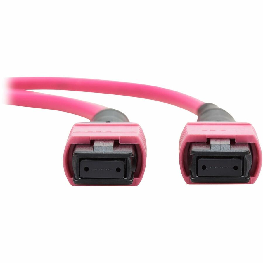 Eaton Tripp Lite Series 100G Multimode 50/125 OM4 Fiber Optic Cable (12F MTP/MPO-PC F/F), OFNP, Magenta, 1 m (3.3 ft.), TAA — N845B-01M-12MTA