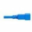 Eaton Tripp Lite Series Power Cord, C20 to C21 - Heavy-Duty, 20A, 250V, 12 AWG, 5 ft. (1.5 m), Blue — P035-005-ABL