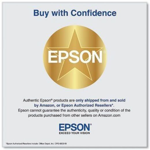 Epson UltraChrome PRO 770 Original Inkjet Ink Cartridge - Light Gray Pack — T770920