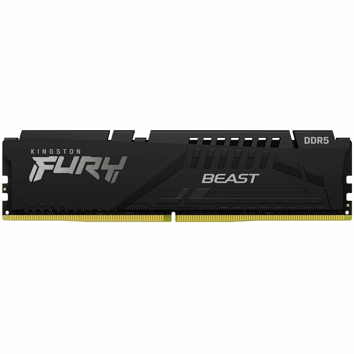Kingston FURY Beast RAM Module — KF556C36BBE-64