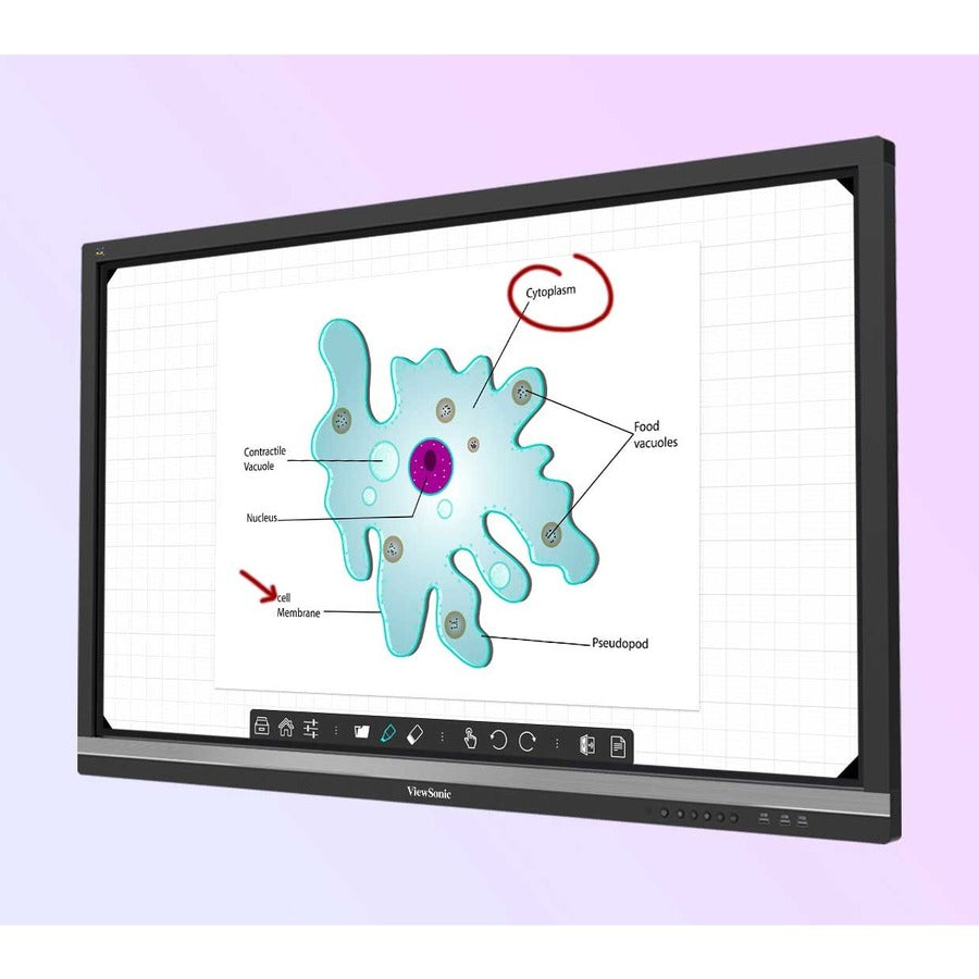 ViewSonic ViewBoard IFP6550-E1 - 4K Interactive Display with WiFi Adapter and Fixed Wall Mount - 350 cd/m2 - 65" — IFP6550-E1