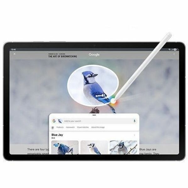 Samsung Galaxy Tab S10 FE Tablet - 12 GB - 256 GB Storage - Gray — SM-X520NZAEXAR