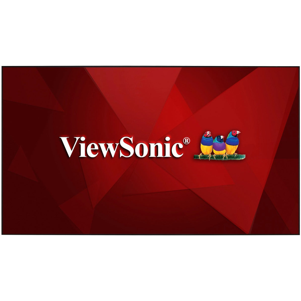 ViewSonic BCP120 120-Inch Home Theater Screen for Ultra Short Throw Projectors — BCP120