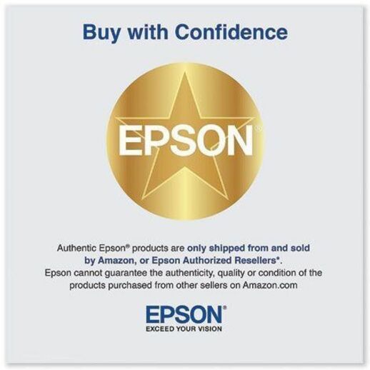 Epson Printer Maintenance Box — C13S210115