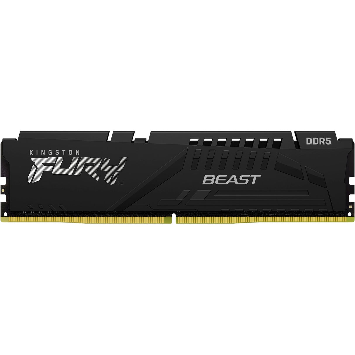 Kingston FURY Beast 8GB DDR5 SDRAM Memory Module — KF552C40BB-8