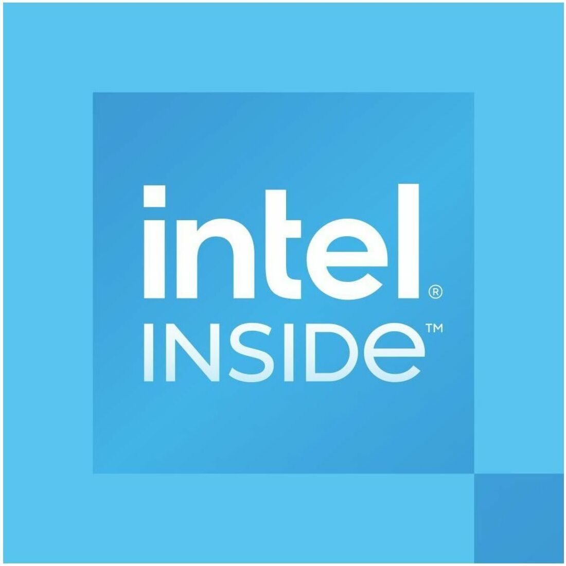 Intel 300 Dual-core (2 Core) 3.90 GHz Processor Upgrade — BX80715300