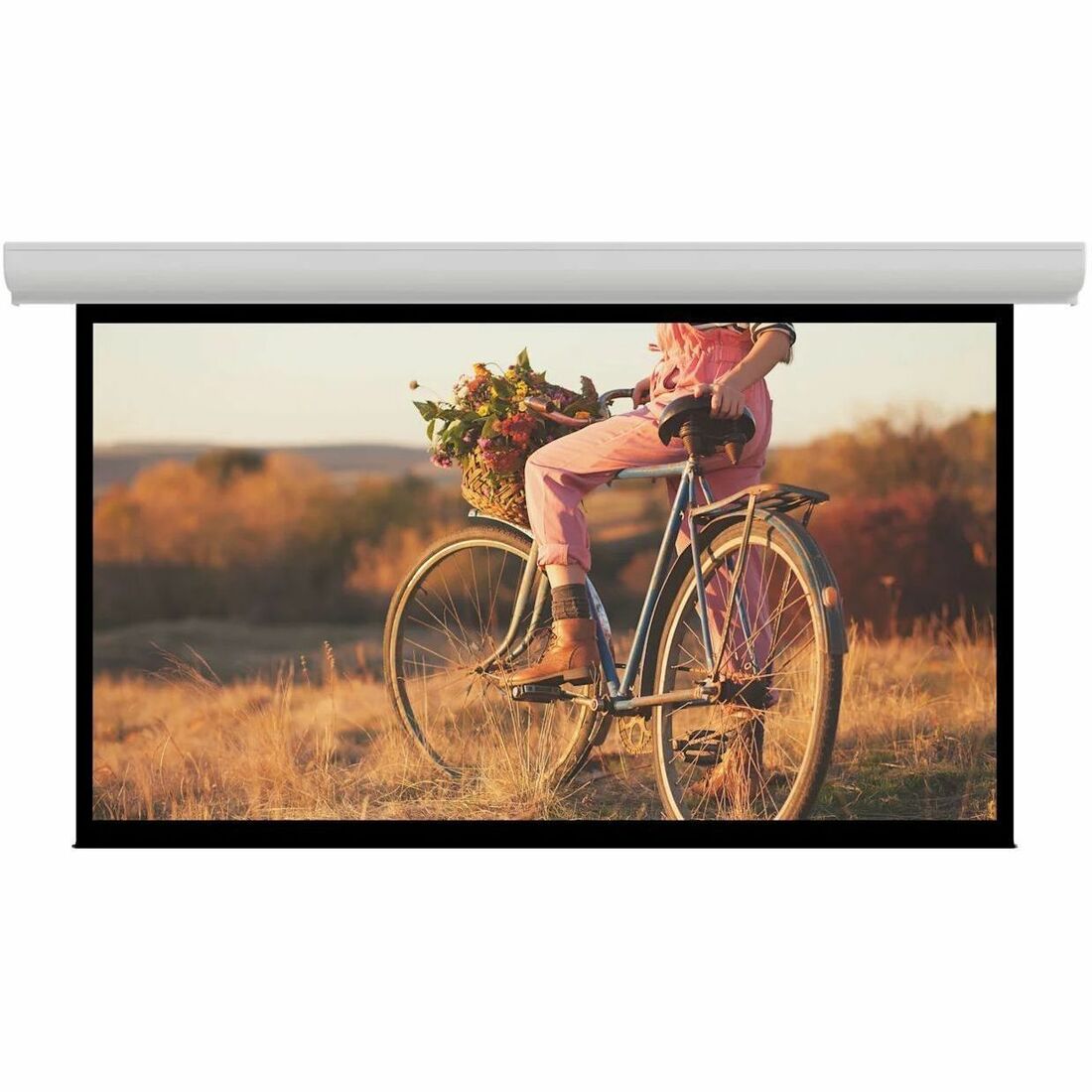 Da-Lite Contour Electrol Series Projection Screen - Wall or Ceiling Mounted Electric Screen - 159in Screen — 92639L