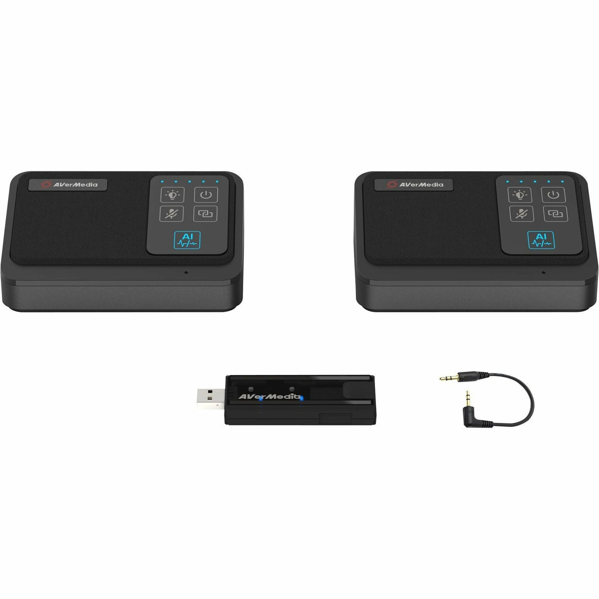 AVerMedia Wireless Expansion Microphone Kit — AW111