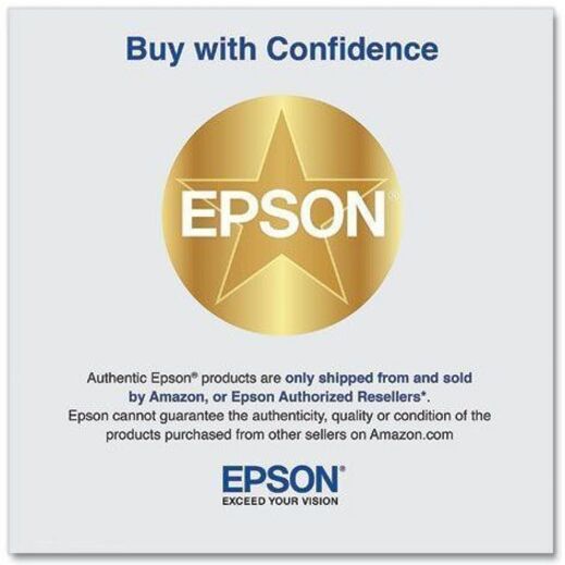 Epson UltraChrome PRO 770 Original Inkjet Ink Cartridge - Gray Pack — T770720