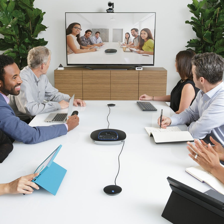 Logitech GROUP Video Conferencing System Plus Expansion Mics — 960-001060