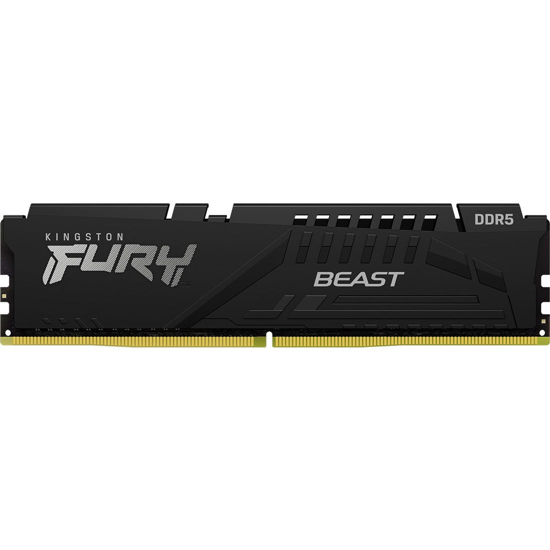Kingston FURY Beast 16GB DDR5 SDRAM Memory Module — KF556C40BB-16