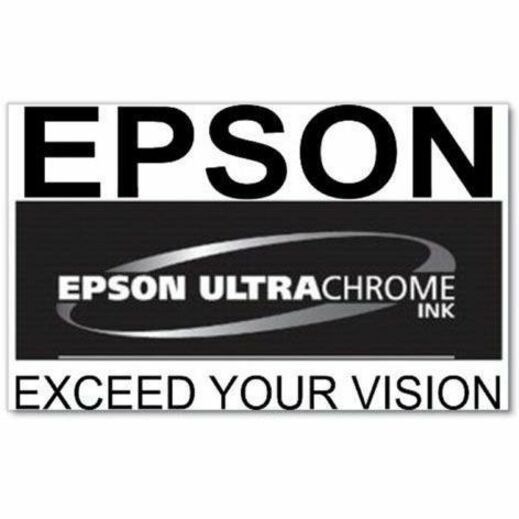 Epson UltraChrome PRO 770 Original Inkjet Ink Cartridge - Vivid Light Magenta Pack — T770620