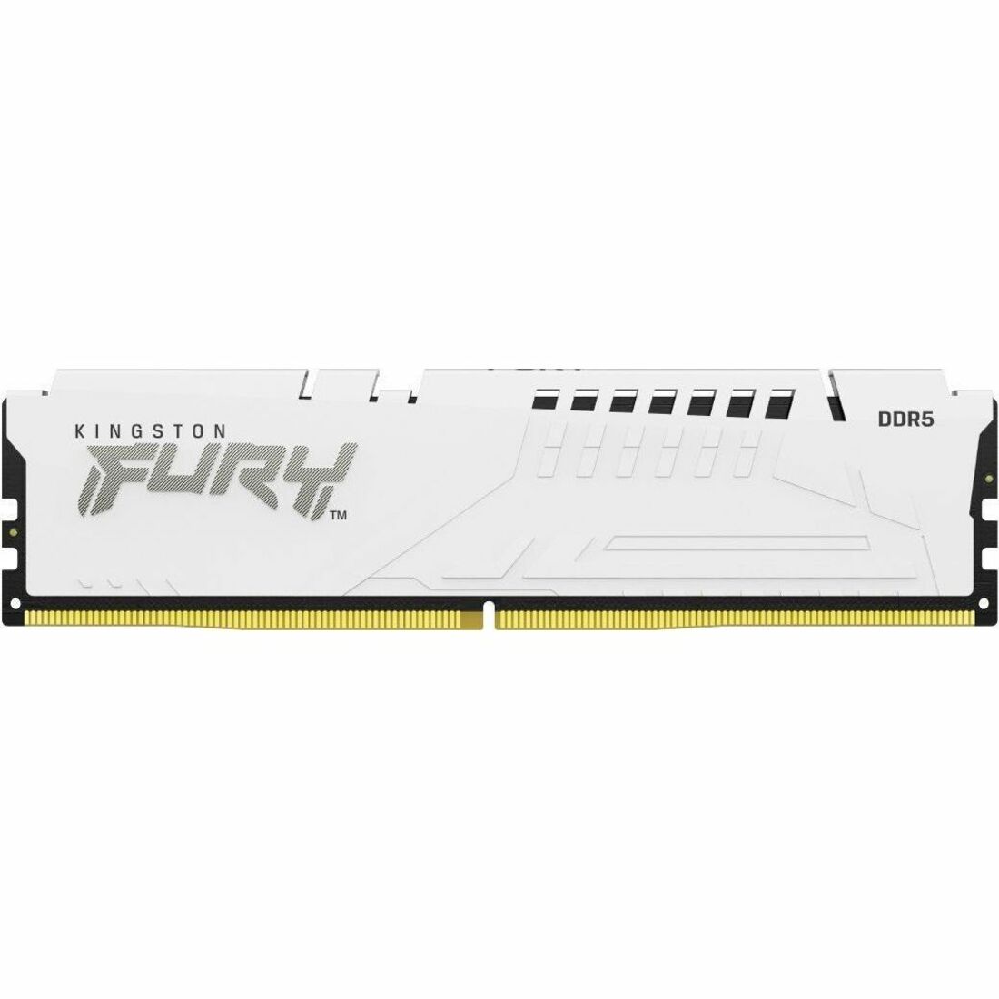 Kingston FURY Beast RAM Module — KF560C36BWE2-16