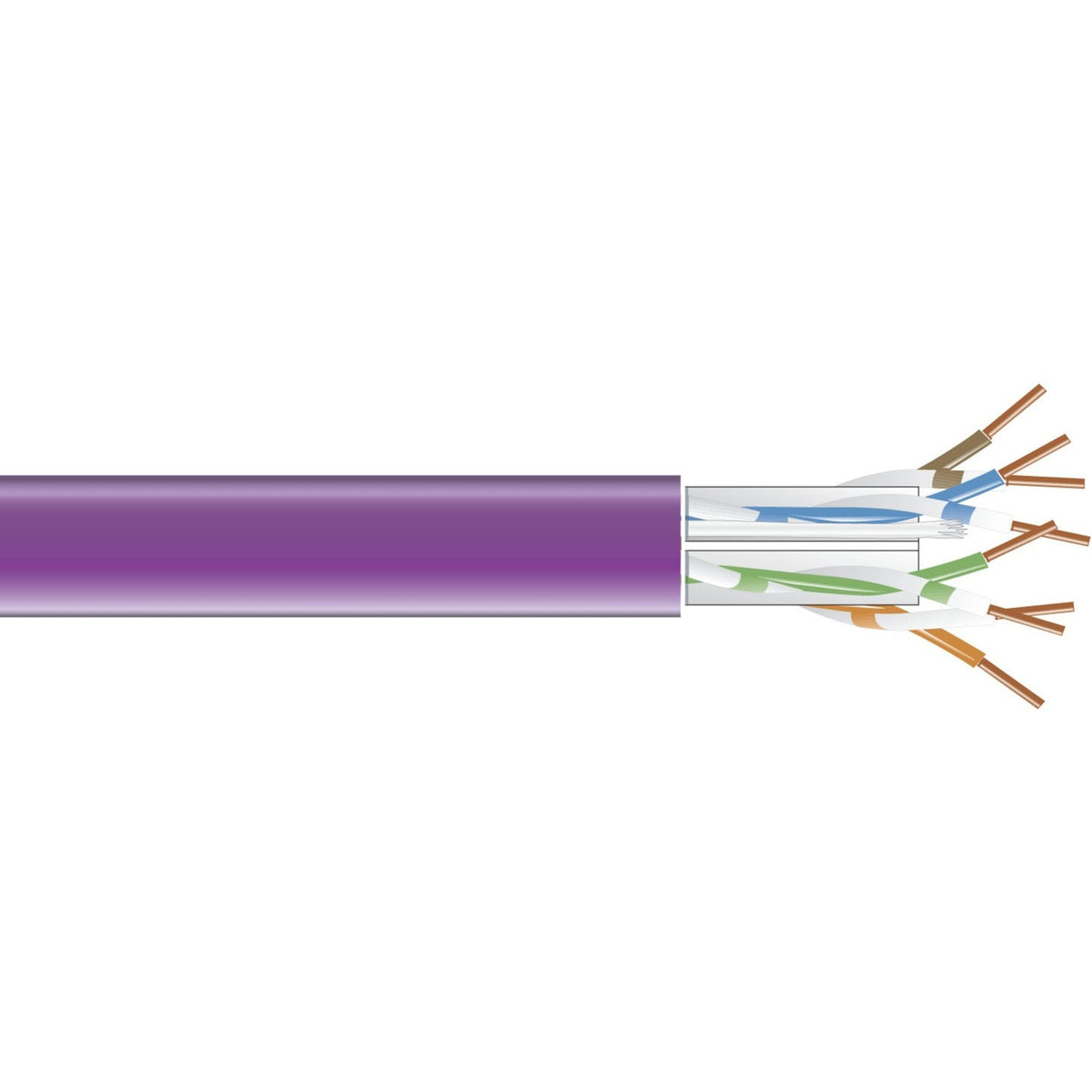 Black Box CAT6 550-MHz Solid Bulk Cable UTP CMR PVC Purple 1000FT Pull-Box — EYN864A-PB-1000