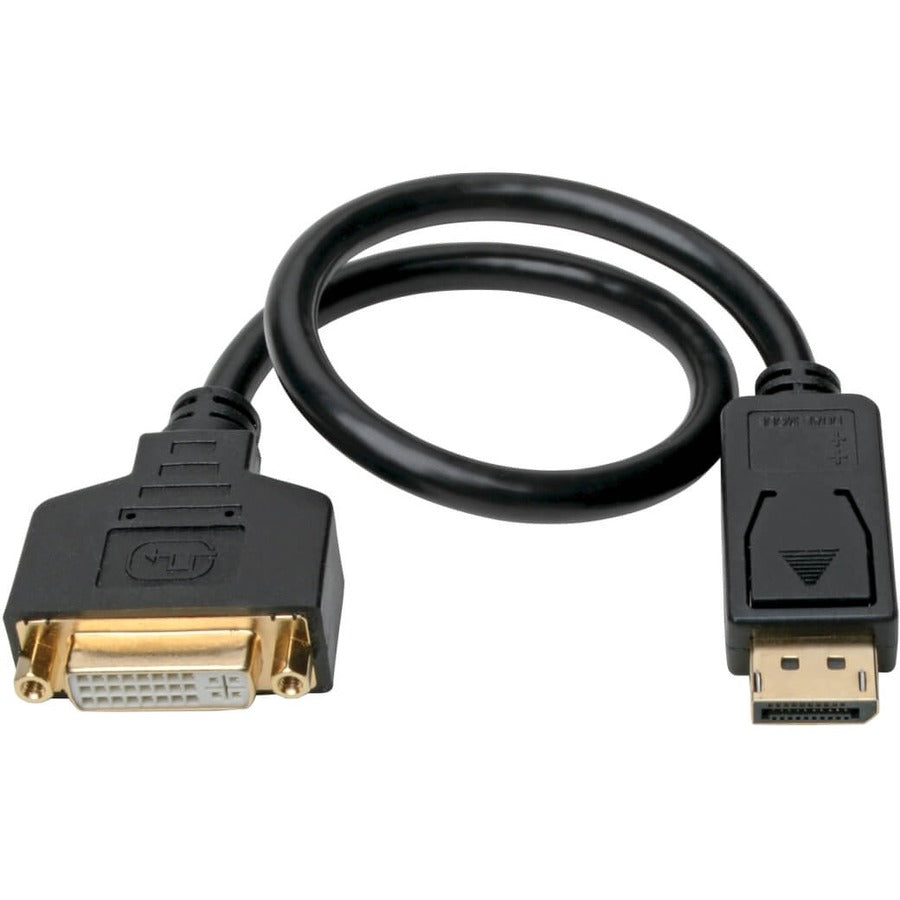 Eaton Tripp Lite Series DisplayPort to DVI Adapter Video Converter, Black (M/F), 1 ft. (0.31 m) — P134-001-GC