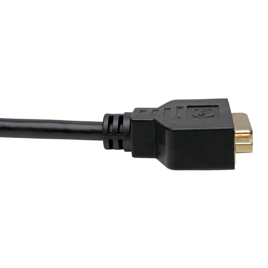 Eaton Tripp Lite Series DisplayPort to DVI Adapter Video Converter, Black (M/F), 1 ft. (0.31 m) — P134-001-GC