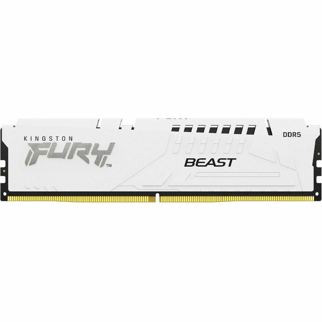 Kingston FURY Beast 64GB (2 x 32GB) DDR5 SDRAM Memory Kit — KF552C40BWK2-64