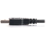 C2G 3.3ft USB Cable - USB A to USB A Cable - USB 2.0 - Black - M/M — 28105