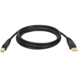 Eaton Tripp Lite Series USB 2.0 A to B Cable (M/M) - 10 ft. (3.05 m) — U022-010