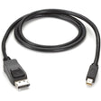 Black Box Mini DisplayPort to DisplayPort Cable, MM, 10-ft. (3.0-m) — ENVMDPDP-0010-MM
