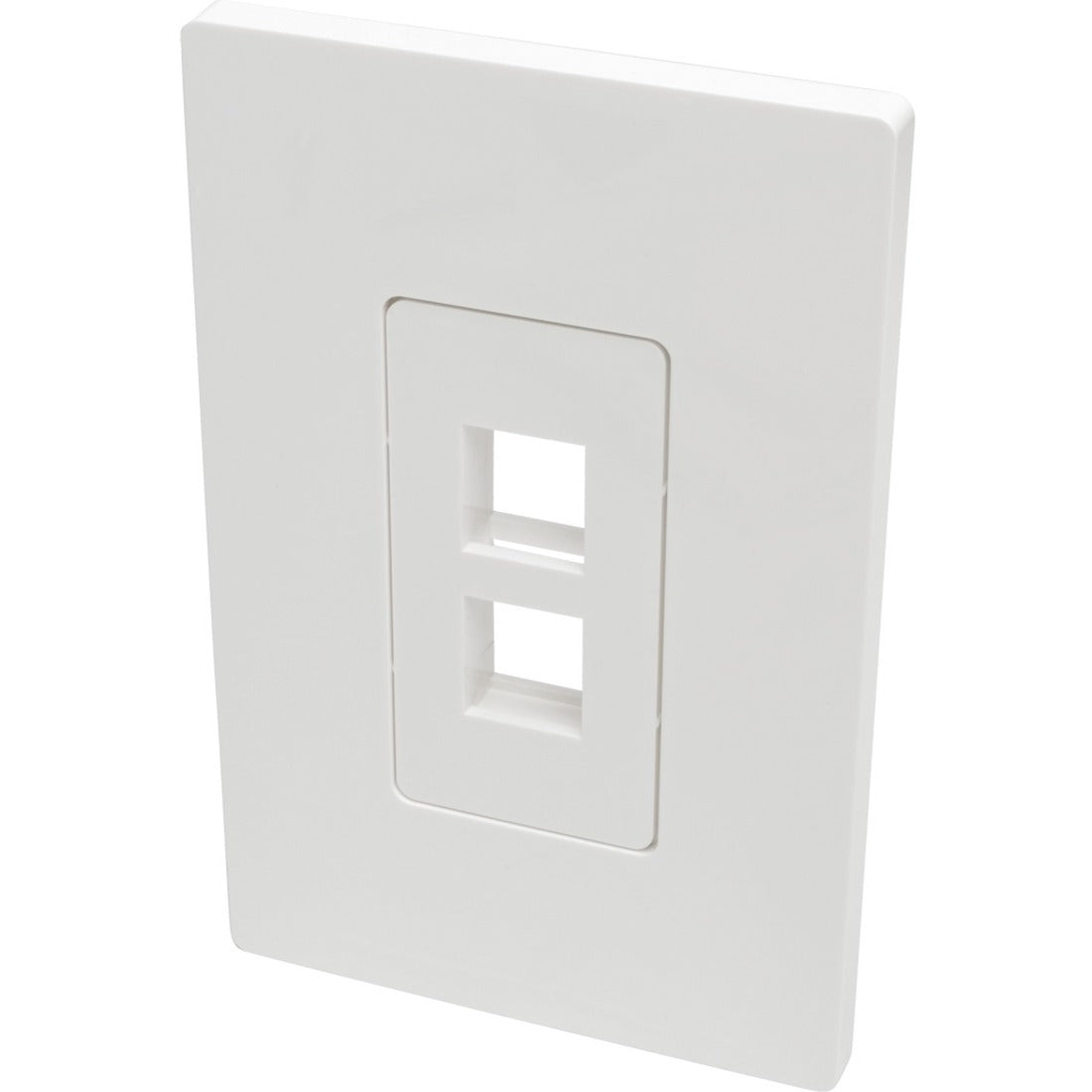 Tripp Lite by Eaton Single-Gang 2-Port Wall Plate Keystone Cat5/6 USB HDMI Dport RCA — N080-102