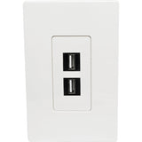 Tripp Lite by Eaton Single-Gang 2-Port Wall Plate Keystone Cat5/6 USB HDMI Dport RCA — N080-102