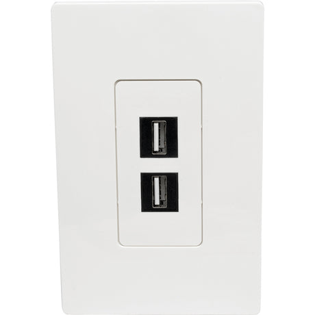 Tripp Lite by Eaton Single-Gang 2-Port Wall Plate Keystone Cat5/6 USB HDMI Dport RCA — N080-102