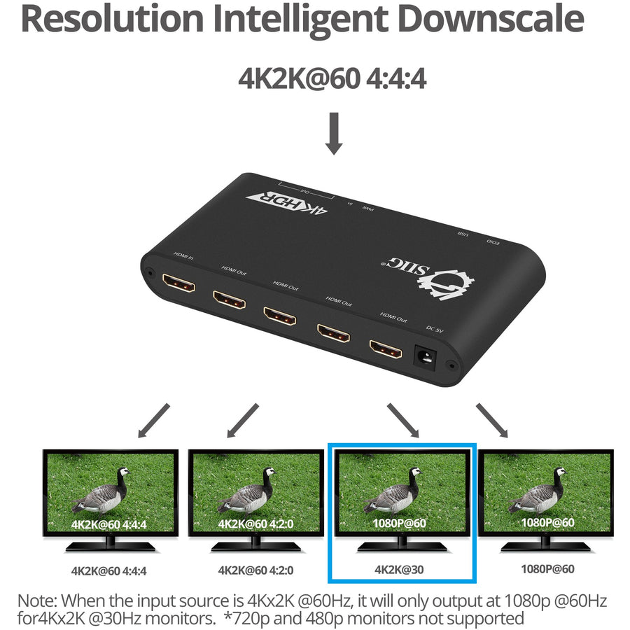 SIIG 1x4 HDMI 2.0 Splitter / Distribution Amplifier with Auto Video Scaling - 4K 60Hz HDR — CE-H22Y11-S1
