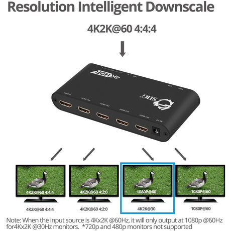 SIIG 1x4 HDMI 2.0 Splitter / Distribution Amplifier with Auto Video Scaling - 4K 60Hz HDR — CE-H22Y11-S1
