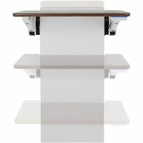 Ergotron WorkFit Elevate (walnut hills) Sit-Stand Wall Desk — 24-804-S894