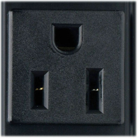 Tripp Lite by Eaton PDU 1.4kW 120V Single-Phase Basic PDU - 16 NEMA 5-15R Outlets 5-15P Input 15 ft. Cord 48 in. 0U Rack — PDUV15-48