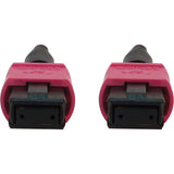 Eaton Tripp Lite Series 100G Multimode 50/125 OM4 Fiber Optic Cable (12F MTP/MPO-PC F/F), LSZH, Magenta, 10 m (32.8 ft.) — N845B-10M-12-MG