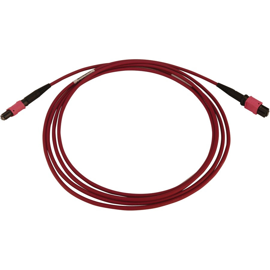 Eaton Tripp Lite Series 100G Multimode 50/125 OM4 Fiber Optic Cable (12F MTP/MPO-PC F/F), LSZH, Magenta, 10 m (32.8 ft.) — N845B-10M-12-MG