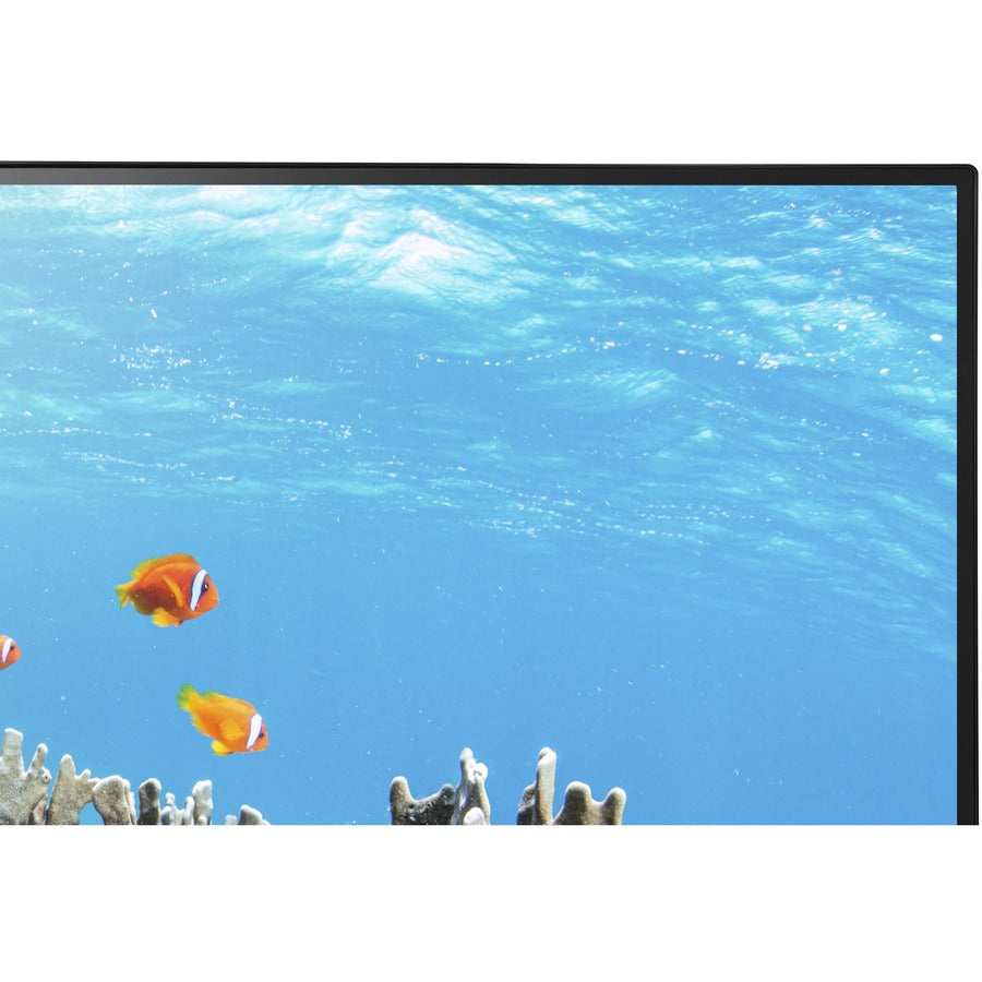 NEC Display MultiSync EA242WU-BK 24" Class WUXGA LCD Monitor - 16:10 - Black — EA242WU-BK
