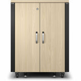 APC by Schneider Electric NetShelter Soundproof, 17U, Server Rack Enclosure, 120V, Maple — AR4017A