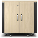 APC by Schneider Electric NetShelter Soundproof, 12U, Server Rack Enclosure, Maple — AR4012A
