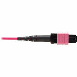 Eaton Tripp Lite Series 100G Multimode 50/125 OM4 Fiber Optic Cable (12F MTP/MPO-PC F/F), OFNP, Magenta, 3 m (9.8 ft.), TAA — N845B-03M-12MTA