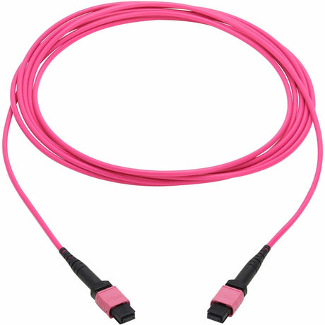 Eaton Tripp Lite Series 100G Multimode 50/125 OM4 Fiber Optic Cable (12F MTP/MPO-PC F/F), OFNP, Magenta, 5 m (16.4 ft.), TAA — N845B-05M-12MTA