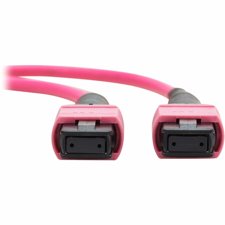 Eaton Tripp Lite Series 100G Multimode 50/125 OM4 Fiber Optic Cable (12F MTP/MPO-PC F/F), OFNP, Magenta, 5 m (16.4 ft.), TAA — N845B-05M-12MTA