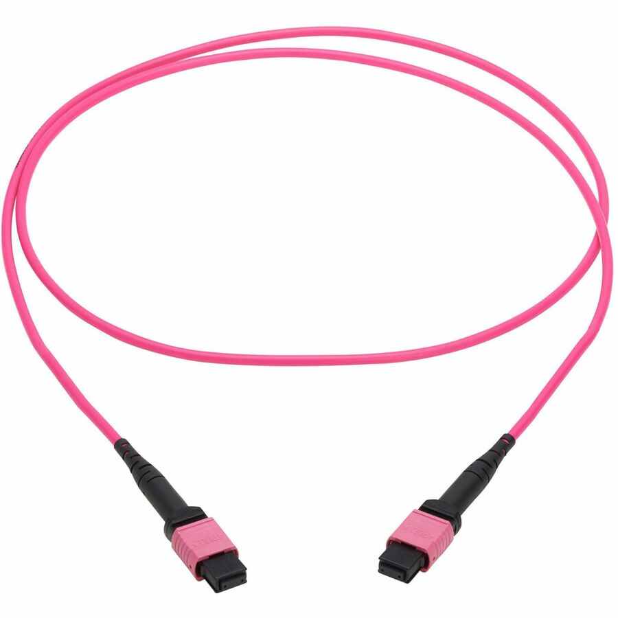 Eaton Tripp Lite Series 100G Multimode 50/125 OM4 Fiber Optic Cable (12F MTP/MPO-PC F/F), OFNP, Magenta, 1 m (3.3 ft.), TAA — N845B-01M-12MTA