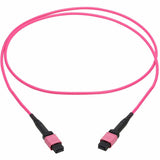 Eaton Tripp Lite Series 100G Multimode 50/125 OM4 Fiber Optic Cable (12F MTP/MPO-PC F/F), OFNP, Magenta, 1 m (3.3 ft.), TAA — N845B-01M-12MTA