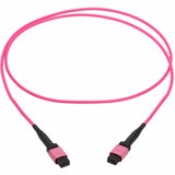 Eaton Tripp Lite Series 100G Multimode 50/125 OM4 Fiber Optic Cable (12F MTP/MPO-PC F/F), OFNP, Magenta, 2 m (6.6 ft.), TAA — N845B-02M-12MTA