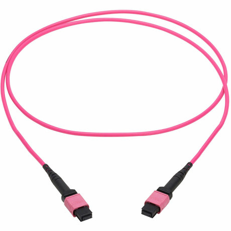 Eaton Tripp Lite Series 100G Multimode 50/125 OM4 Fiber Optic Cable (12F MTP/MPO-PC F/F), OFNP, Magenta, 2 m (6.6 ft.), TAA — N845B-02M-12MTA