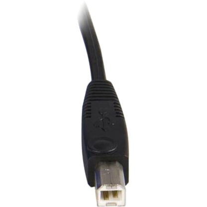 StarTech.com 10 ft 2-in-1 Universal USB KVM Cable - Video / USB cable - HD-15, 4 pin USB Type B (M) - 4 pin USB Type A, HD-15 - 10 — SVUSB2N1_10