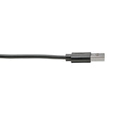 Eaton Tripp Lite Series USB-A to USB-C Cable, Right-Angle USB-C, USB 2.0, (M/M), 6 ft. (1.83 m) — U038-006-CRA