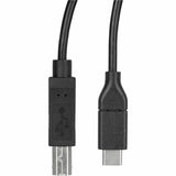 StarTech.com 3m 10 ft USB C to USB B Printer Cable - M/M - USB 2.0 - USB C to USB B Cable - USB C Printer Cable - USB Type C to Type B Cable — USB2CB3M