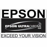 Epson UltraChrome PRO 770 Original Inkjet Ink Cartridge - Light Cyan Pack — T770520