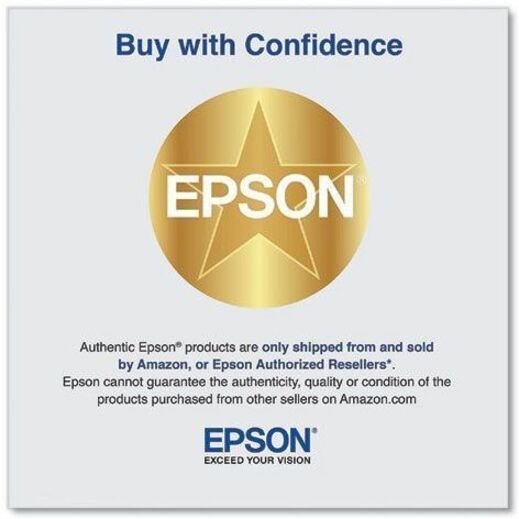 Epson UltraChrome PRO 770 Original Inkjet Ink Cartridge - Light Cyan Pack — T770520